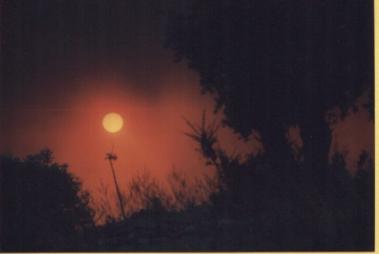 incendio3